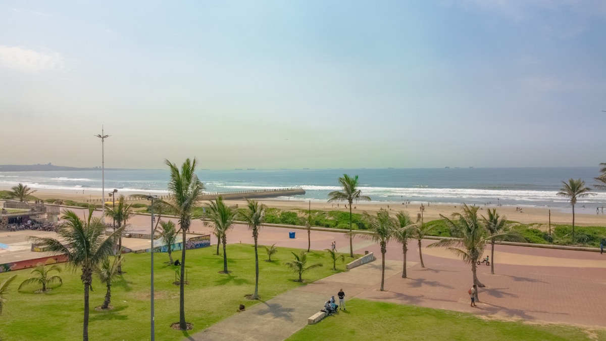 Durban Golden Mile beachfront with palm trees — where to stay in Durban, KwaZulu-Natal