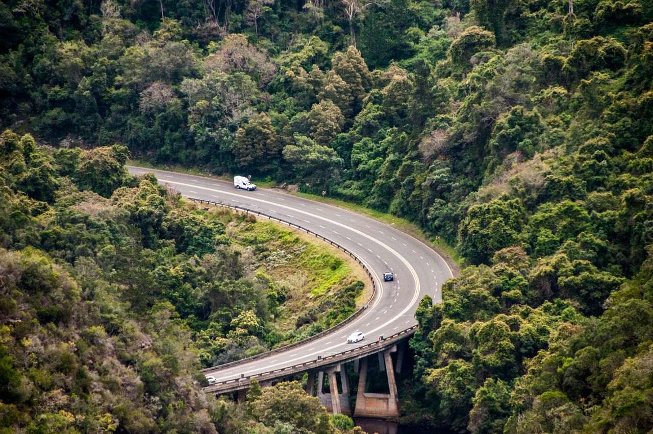 Curving highway bridge through indigenous forest near George, Garden Route, South Africa
