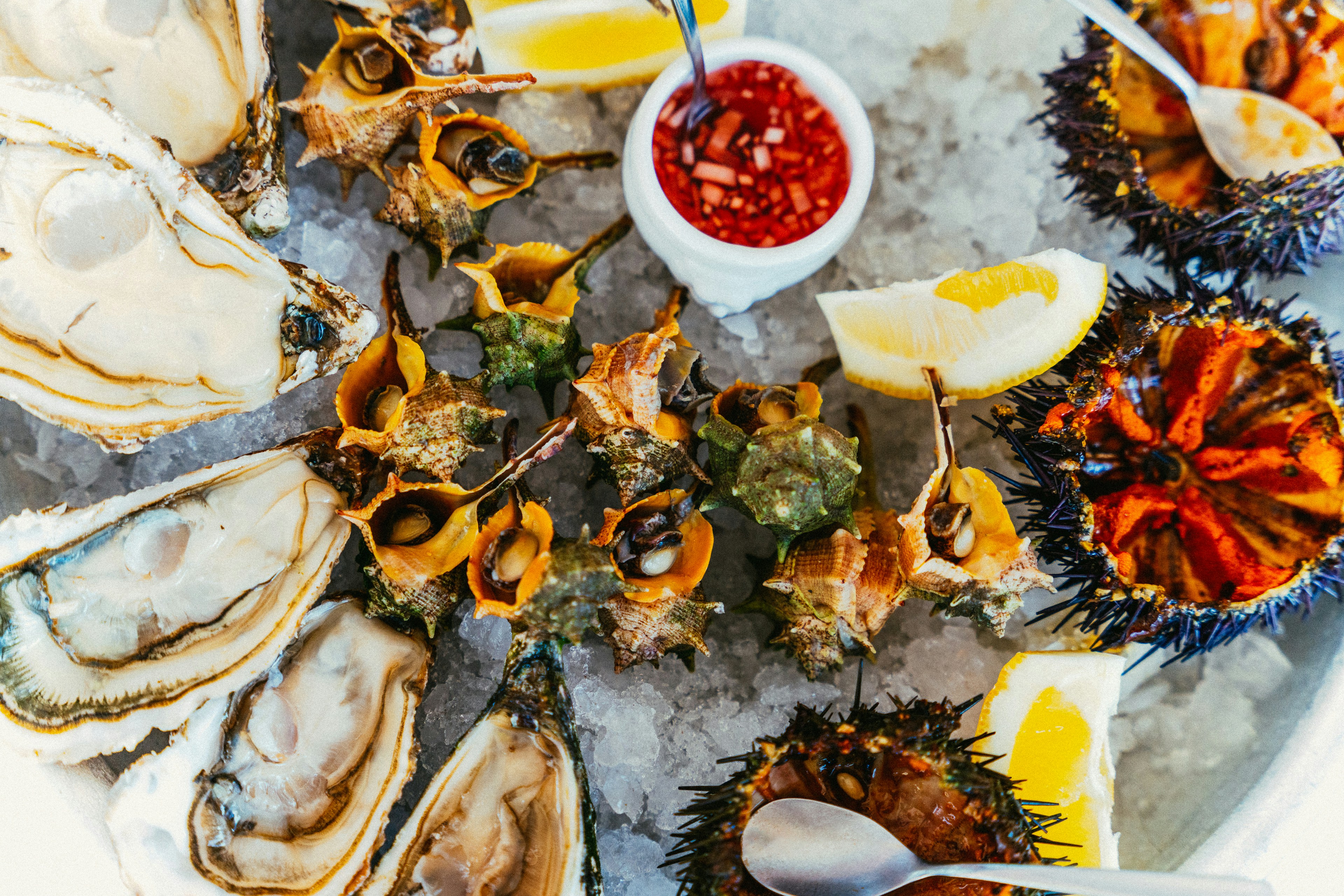 Fresh Knysna oysters and sea urchins on ice with lemon and mignonette sauce, Garden Route, South Africa