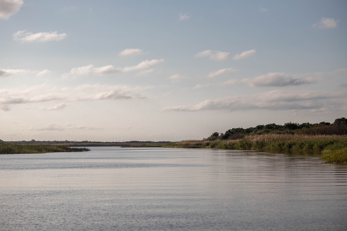 Calm waters of Lake St Lucia surrounded by reeds, iSimangaliso Wetland Park, KwaZulu-Natal, South Africa