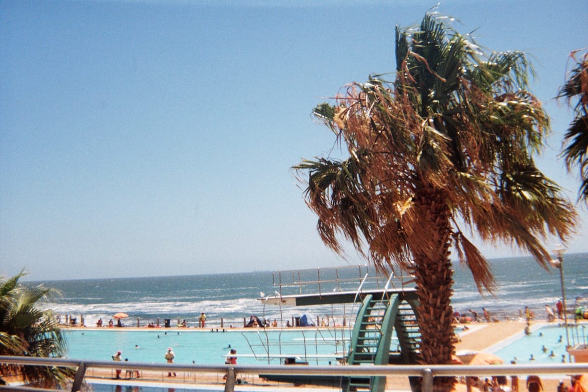 Beachfront tidal pool with palm trees and swimmers under blue sky, South Africa