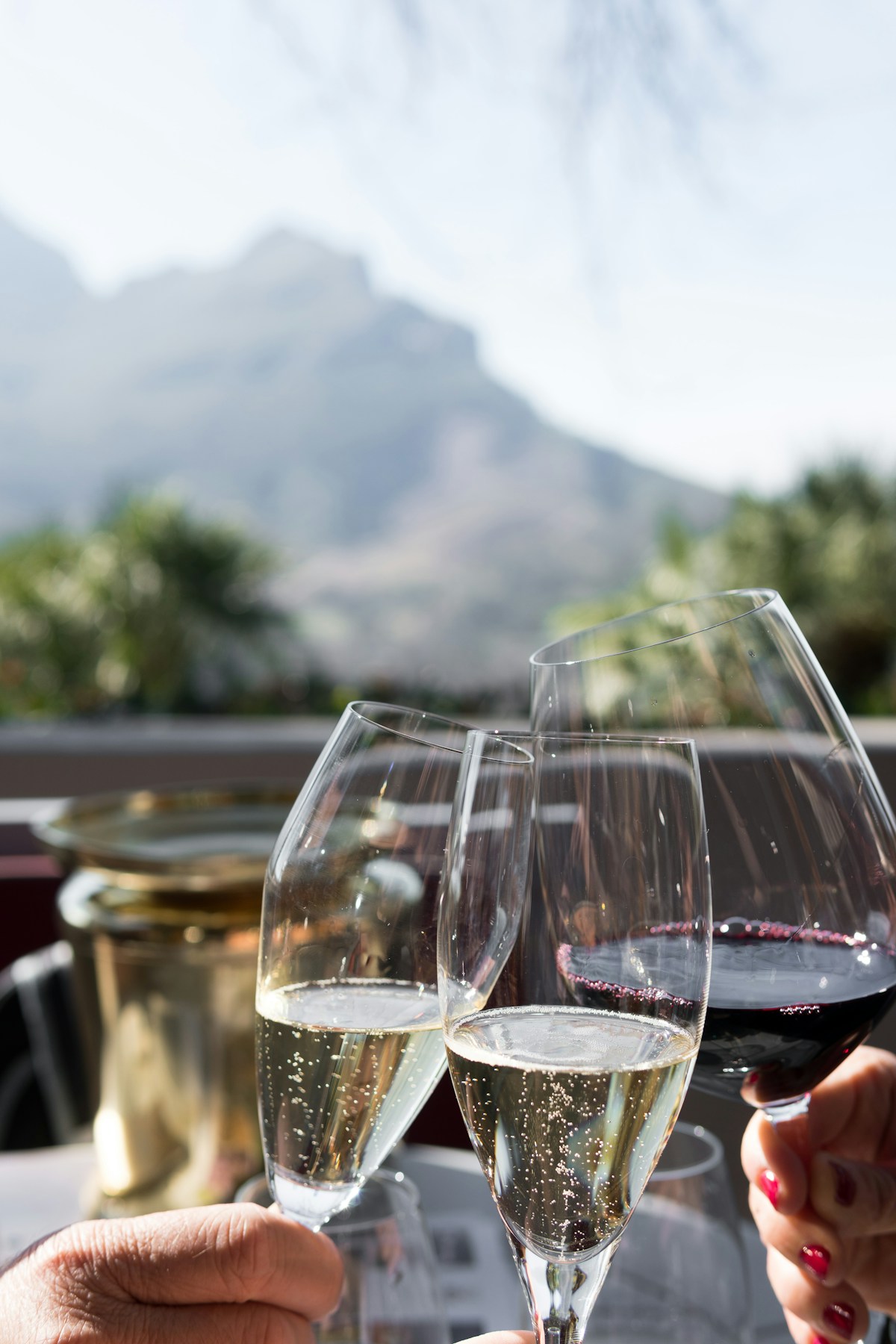 Three people clinking wine glasses at Delaire Graff Estate, Stellenbosch, with mountain backdrop
