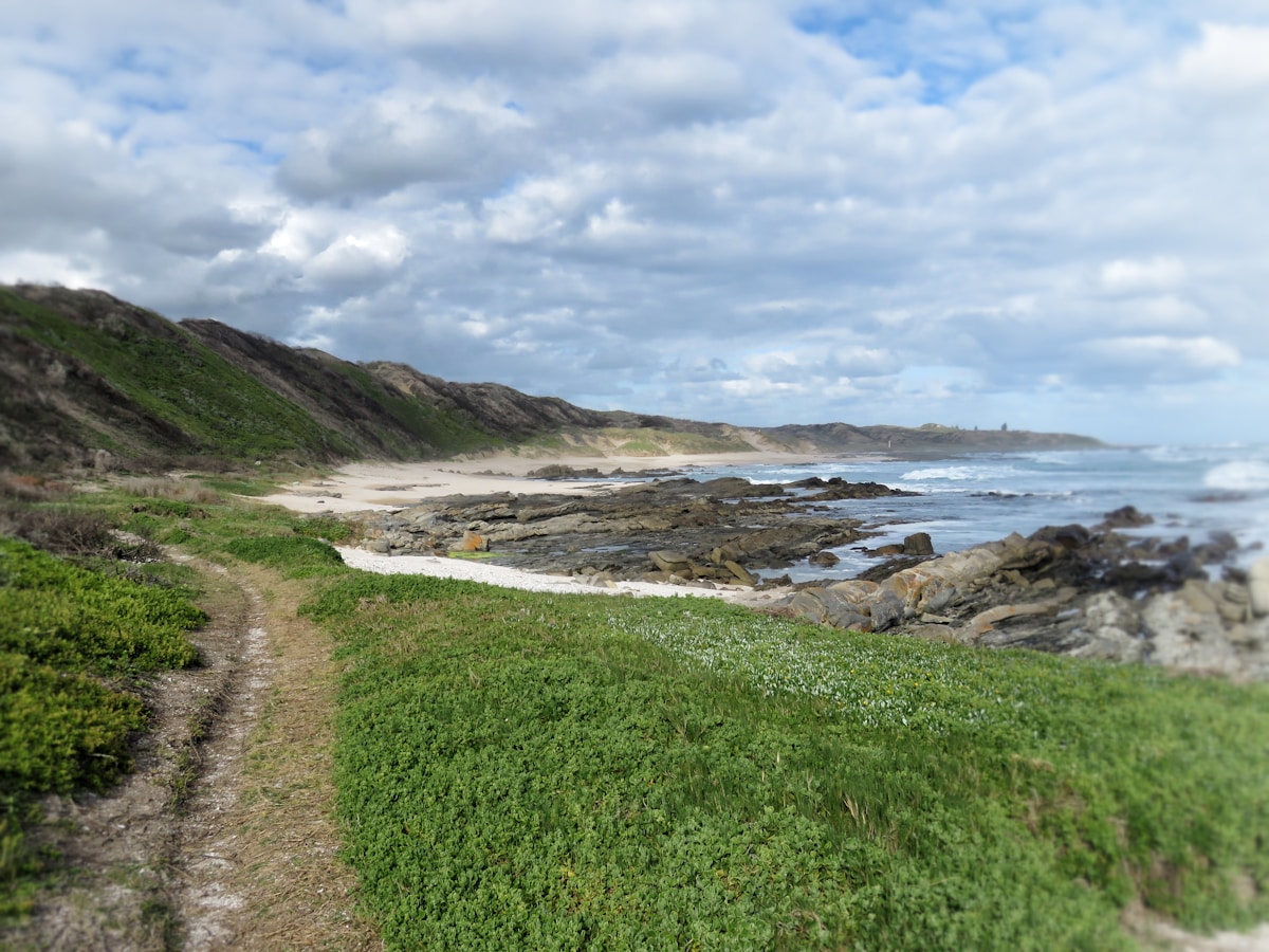 Chapman's Peak coastal road in the Western Cape